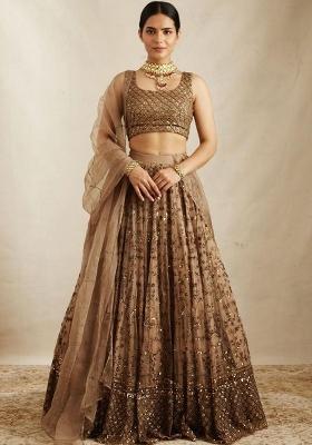 Multi Embellished Net Lehenga set