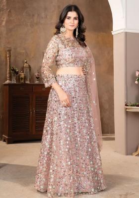 Multi Embellished Net Lehenga set