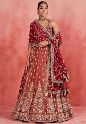 Multi Embroidered Shimmer Organza Lehenga set