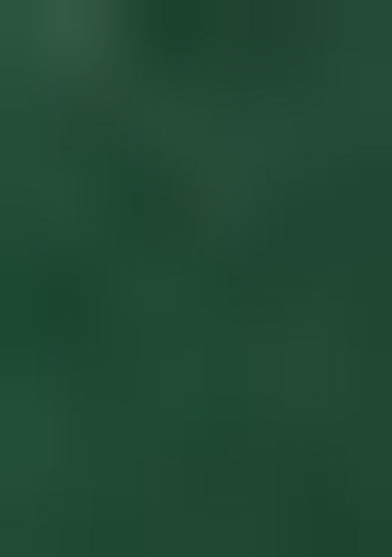 Green Embroidery Net Lehenga Choli Set