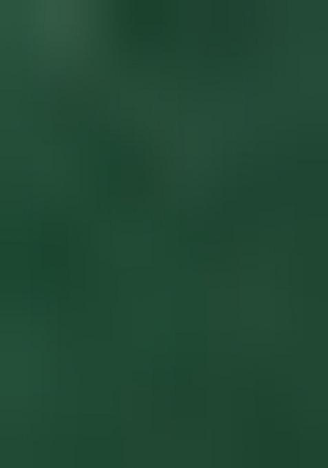 Green Embroidery Net Lehenga Choli Set