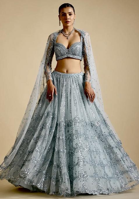 Grey Embroidery Net Lehenga Choli Set