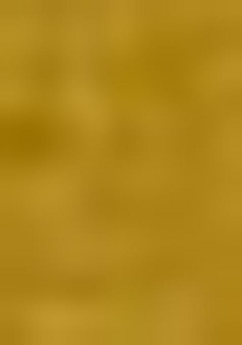 Mustard Embroidery Silk Lehenga Choli Set