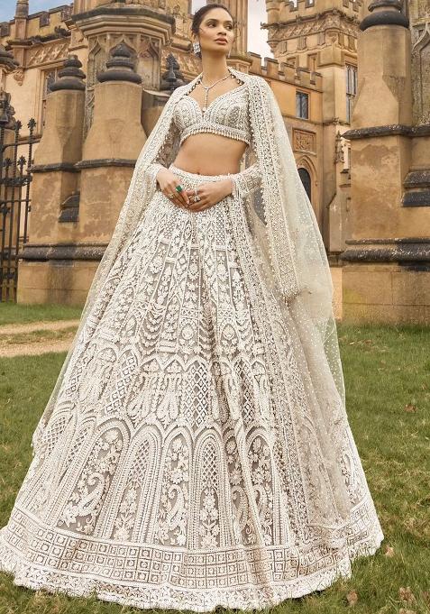 White Embroidery Net Lehenga Choli Set
