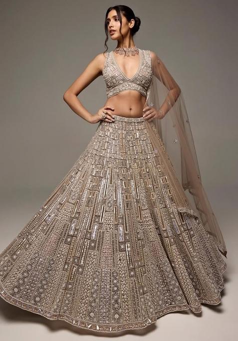 Golden Embroidery Net Lehenga Choli Set