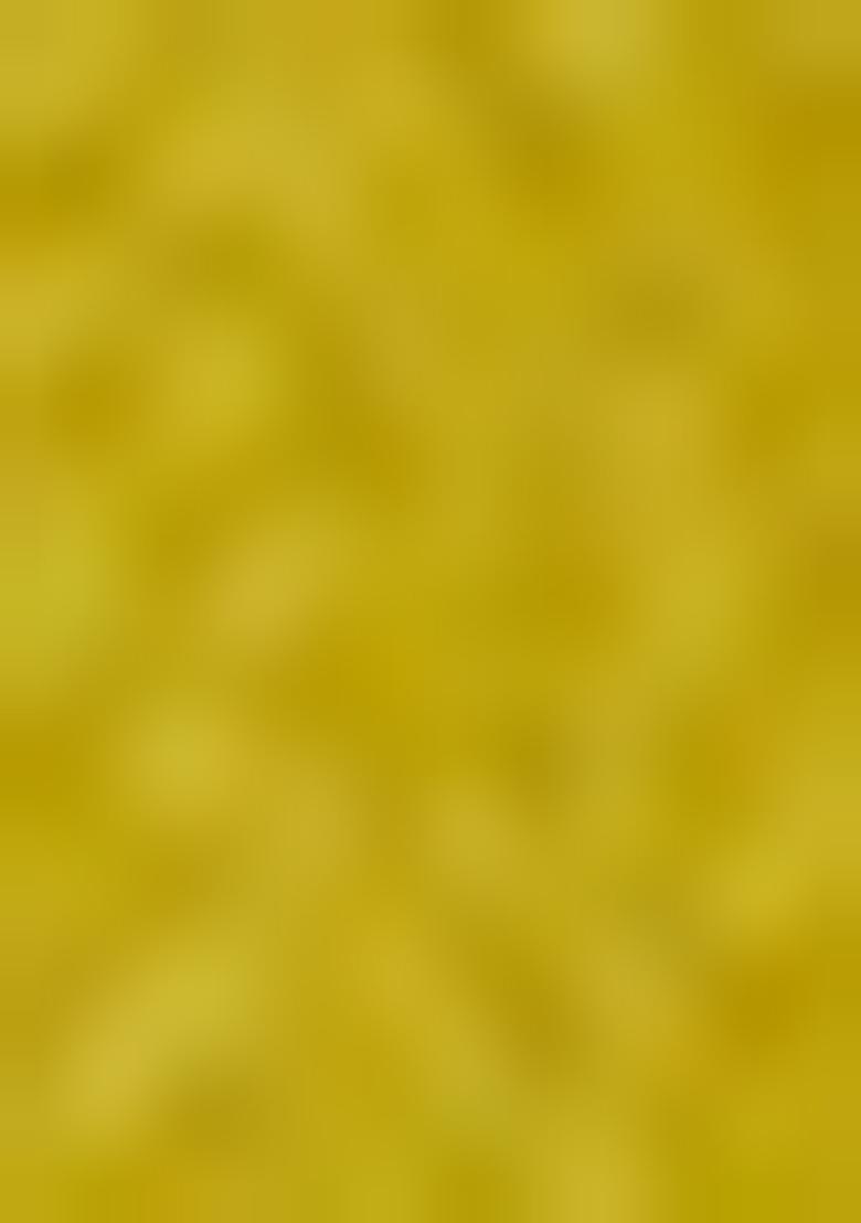 Mustard Embroidery Silk Lehenga Choli Set