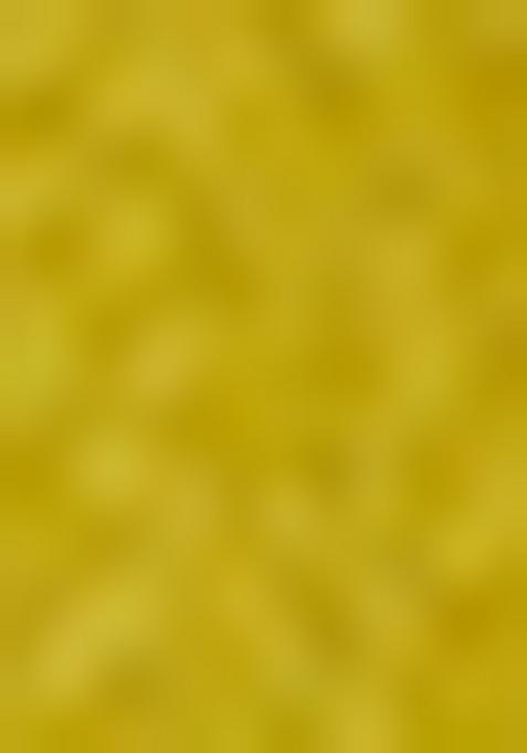 Mustard Embroidery Silk Lehenga Choli Set