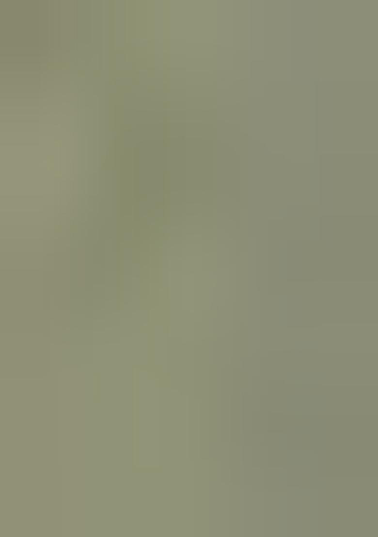 Pista Embroidery Georgette Lehenga Choli Set - Indya