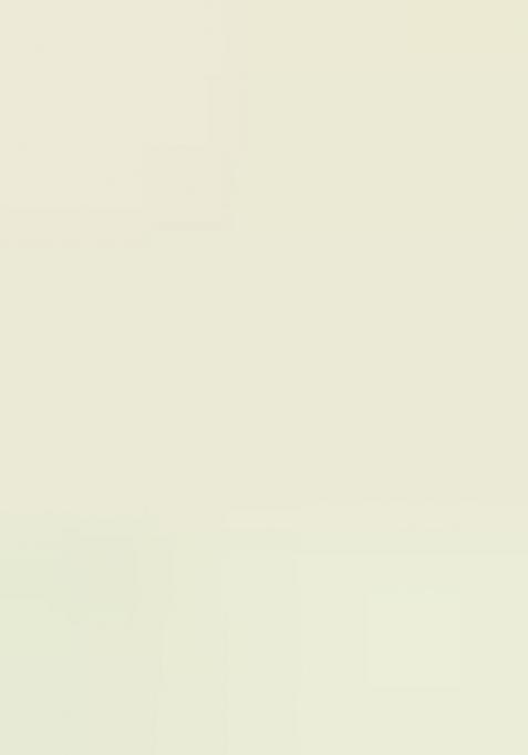 Off White Thread Embroidery Net Lehenga Choli Set