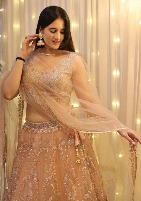Peach Thread Embroidery Net Lehenga Choli Set