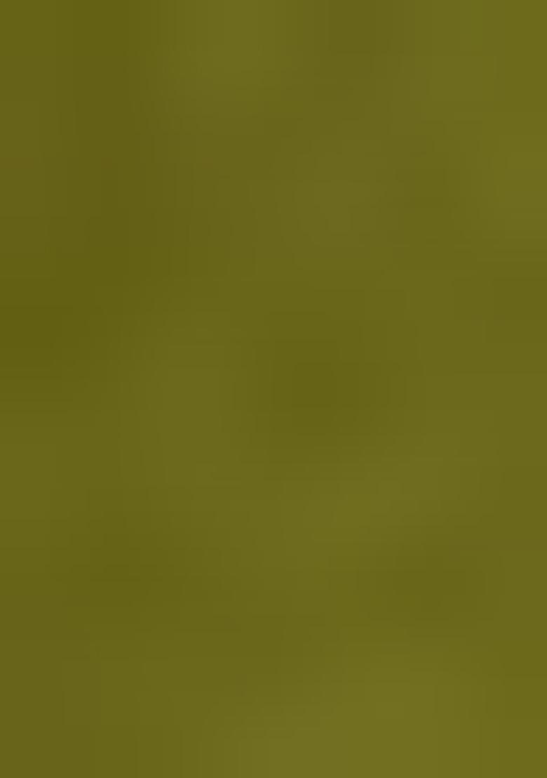 Mehendi Zari Weaving Chanderi Lehenga Set With Dupatta