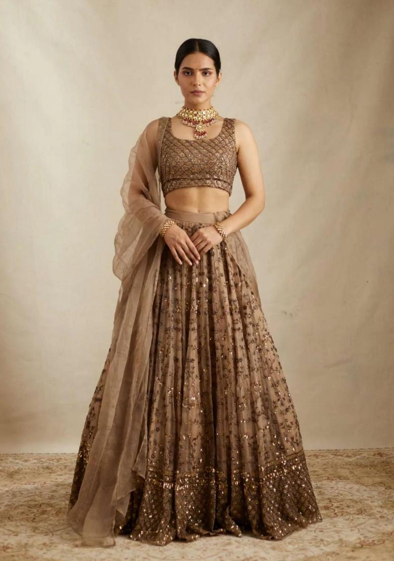 Brown Embroidery Work Crepe Lehenga Set With Dupatta - Indya