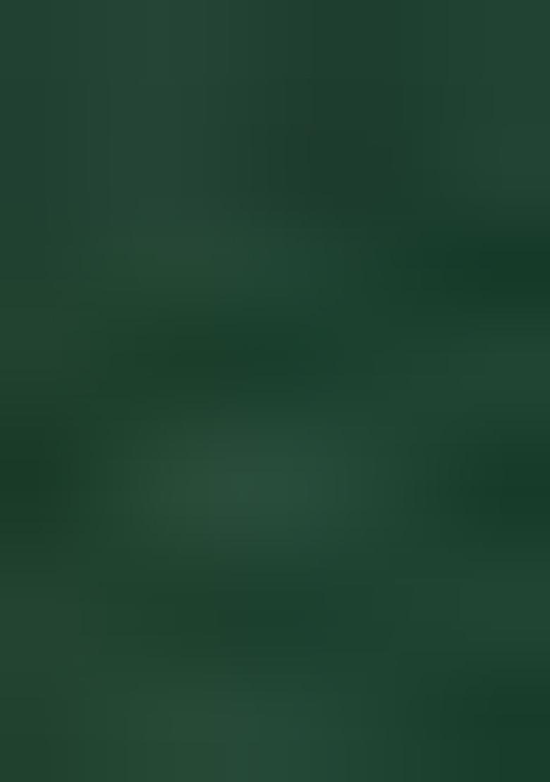 Green Embellished Net Lehenga Set