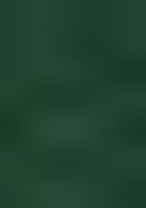 Green Embellished Net Lehenga Set