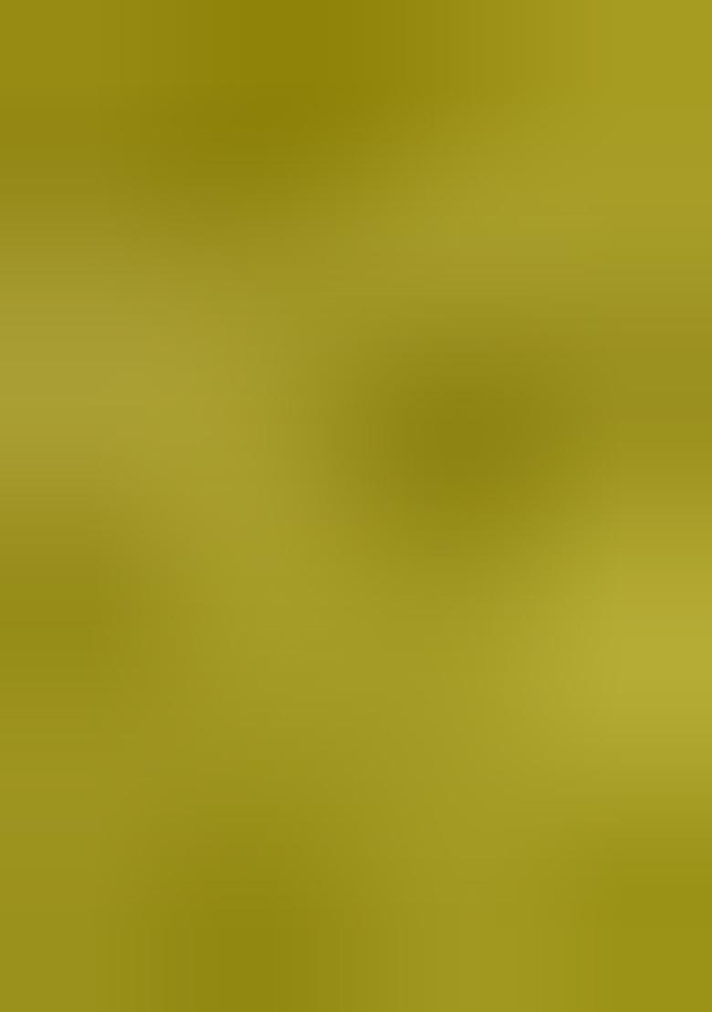 Parrot Green Embroidered Silk Lehenga Set