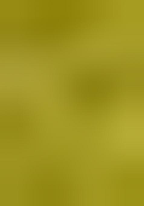 Parrot Green Embroidered Silk Lehenga Set