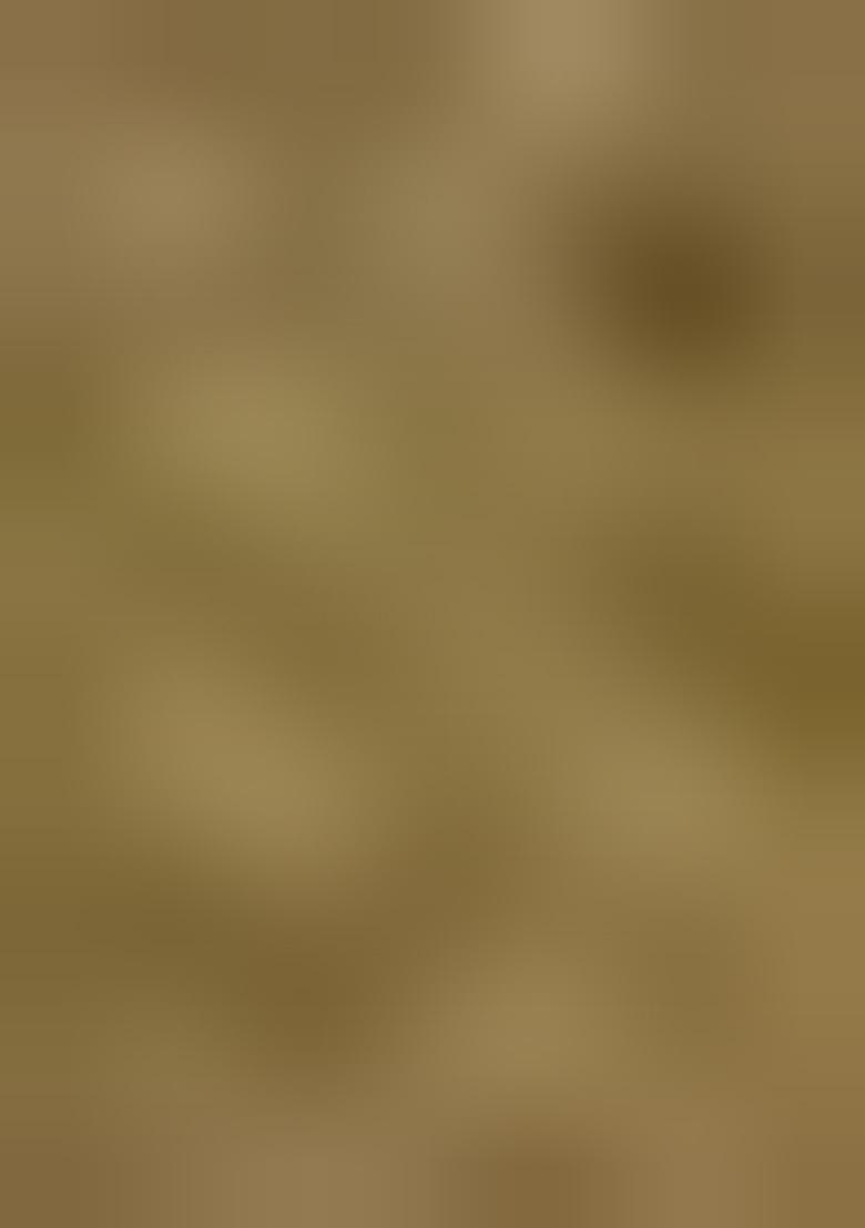 Olive Green Embroidered Silk Lehenga Set - Indya