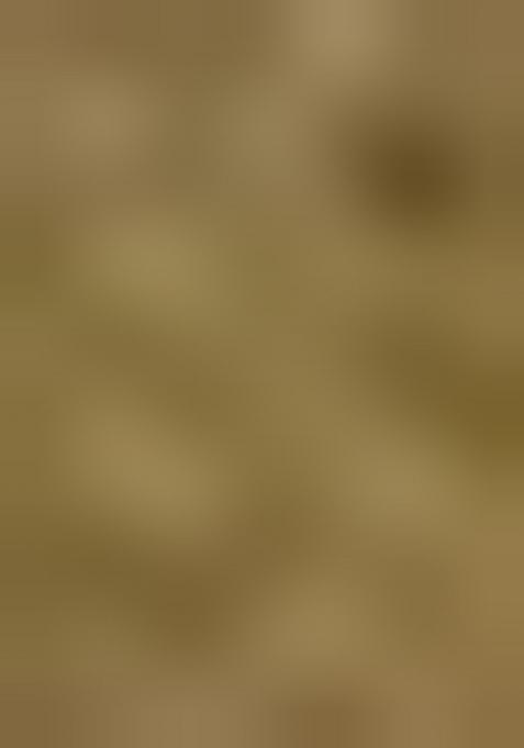 Olive Green Embroidered Silk Lehenga Set