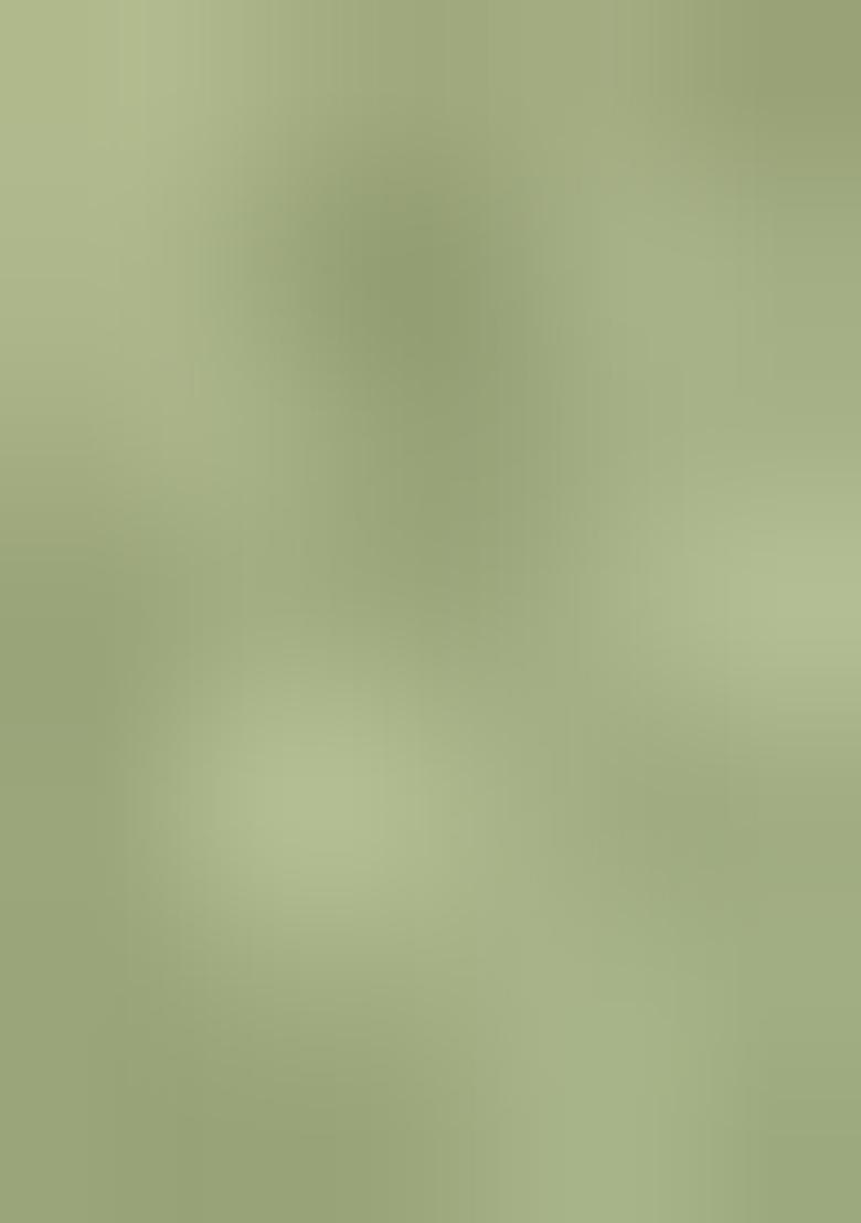 Olive Green Printed Silk Lehenga Set