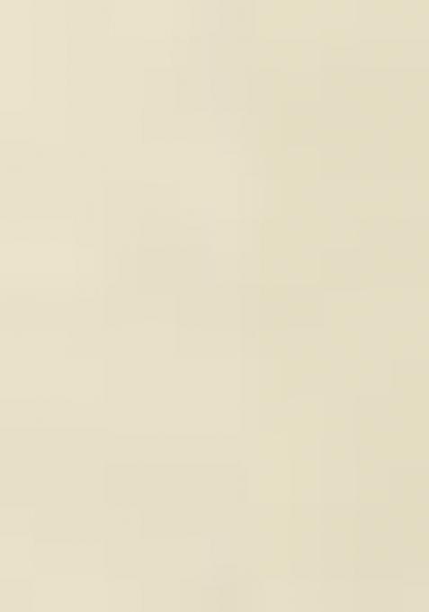 Off White Embroidered Cotton Lehenga Set