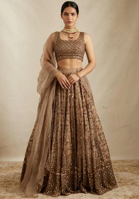 Brown Embroidered Crepe Lehenga Choli