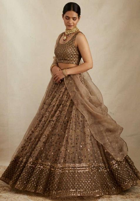 Brown Embroidered Crepe Lehenga Choli