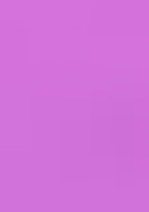 Lavender Embroidered Georgette Lehenga Choli