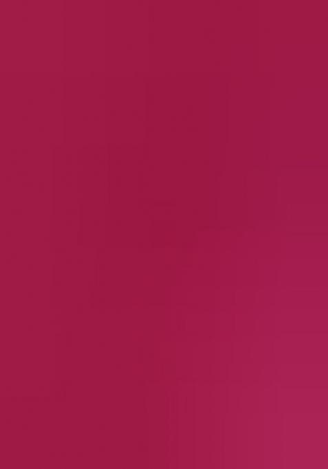 Multicolor Embroidered Georgette Lehenga Choli