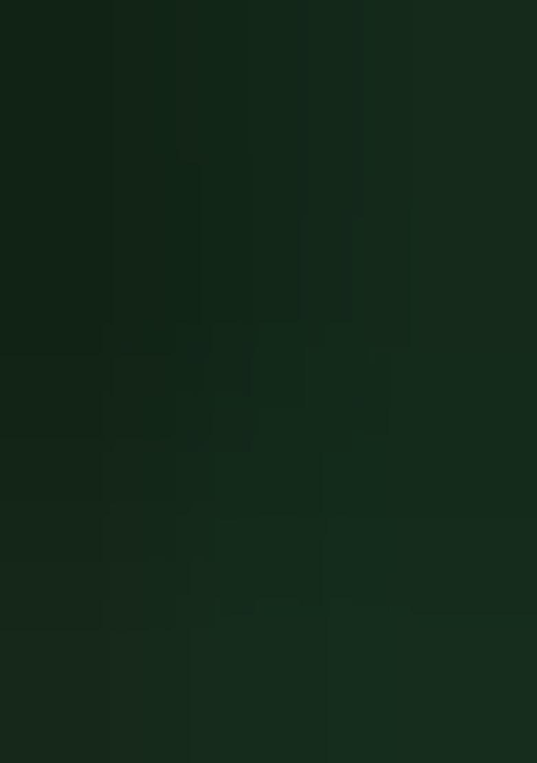 Green Embroidered Blended Lehenga Choli