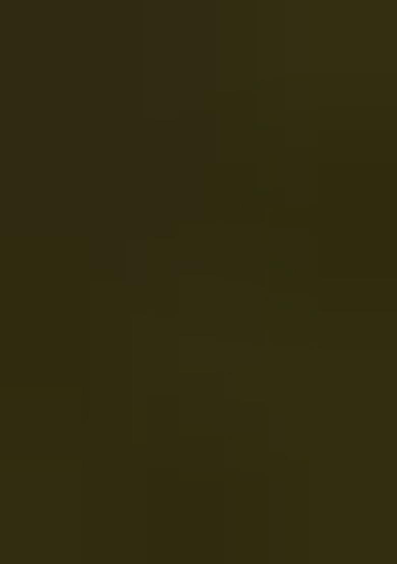 Mehandi Embroidered Blended Lehenga Choli