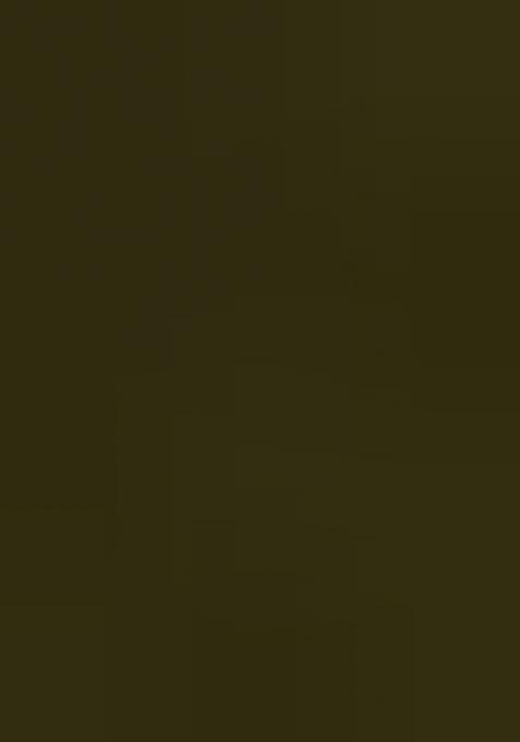 Mehandi Embroidered Blended Lehenga Choli