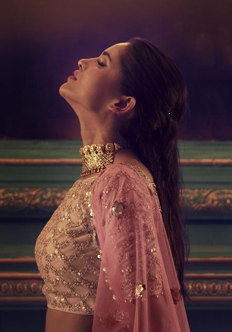 Beige Sequins Work Crepe Lehenga Set