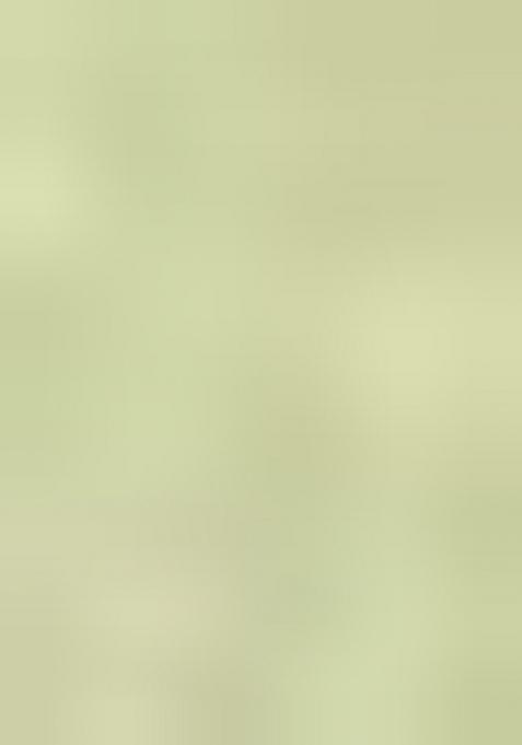 Green Sequins Work Crepe Lehenga Set