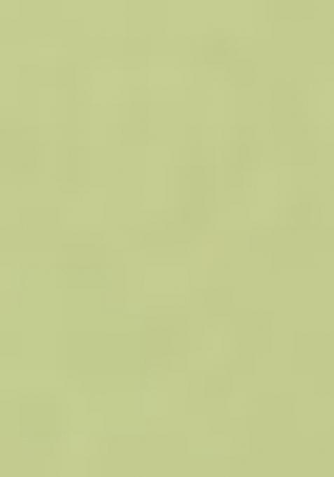 Light Green Thread Embroidery Crepe Lehenga Set