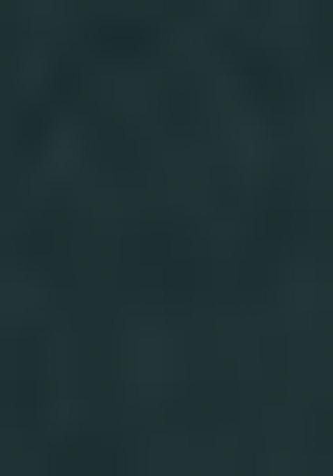 Green Thread Embroidery Crepe Lehenga Set