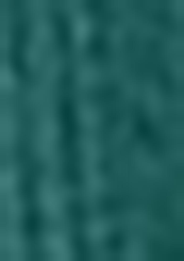 Green Embroidered Crepe Lehenga Set