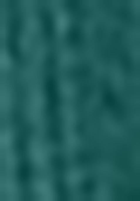 Green Embroidered Crepe Lehenga Set