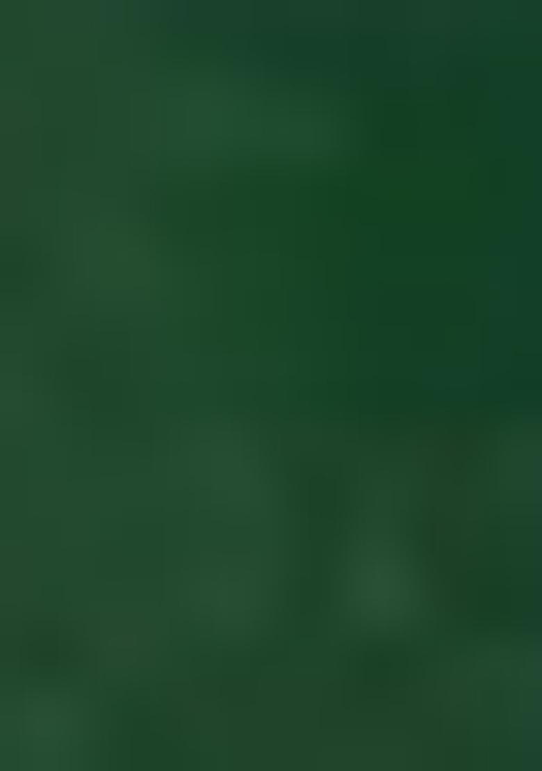 Green Embroidered Crepe Lehenga Set