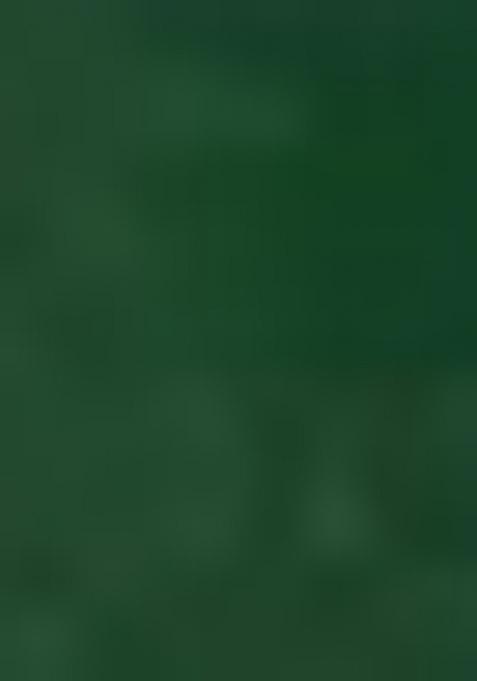 Green Embroidered Crepe Lehenga Set