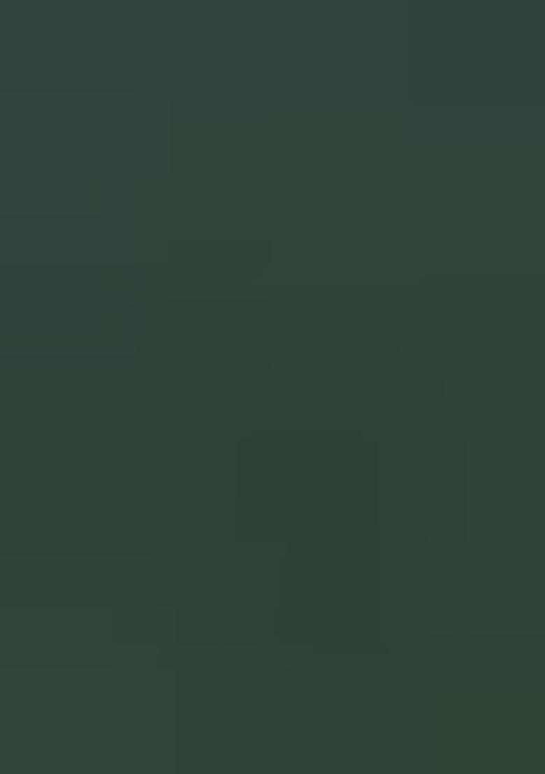 Green Embroidered Blended Lehenga Set With Dupatta - Indya