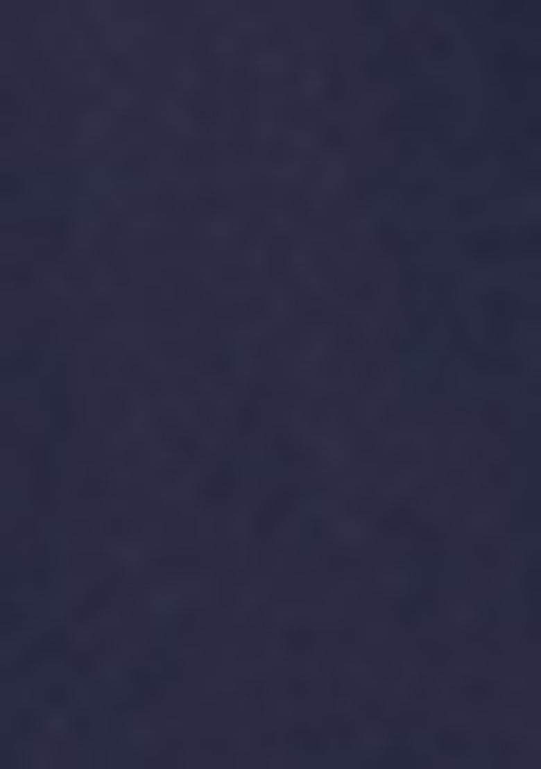 Blue Embroidered Georgette Lehenga Set - Indya