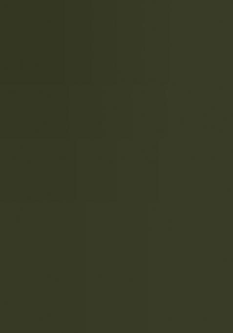 Green Embroidered Jacquard Lehenga Set