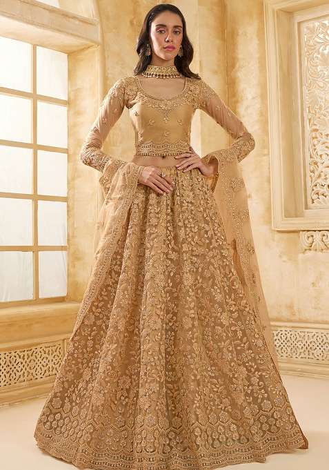 Fawn Embroidered Net Lehenga Set