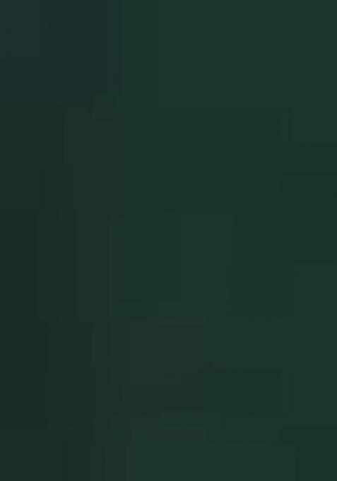 Green Embroidered Georgette Lehenga Choli Set