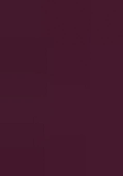 Wine Embroidered Georgette Lehenga Choli Set