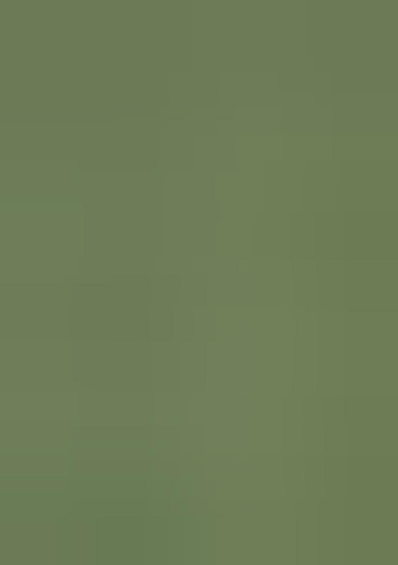 Green Embroidered Slub Silk Lehenga Choli Set