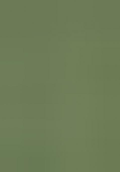 Green Embroidered Slub Silk Lehenga Choli Set