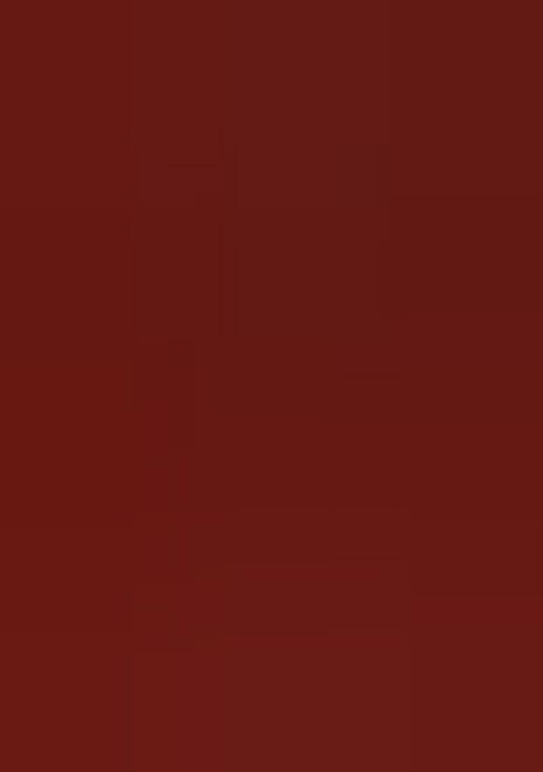 Maroon Embroidered Georgette Lehenga Choli Set