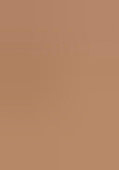 Brown Embroidered Soft Net Lehenga Choli Set