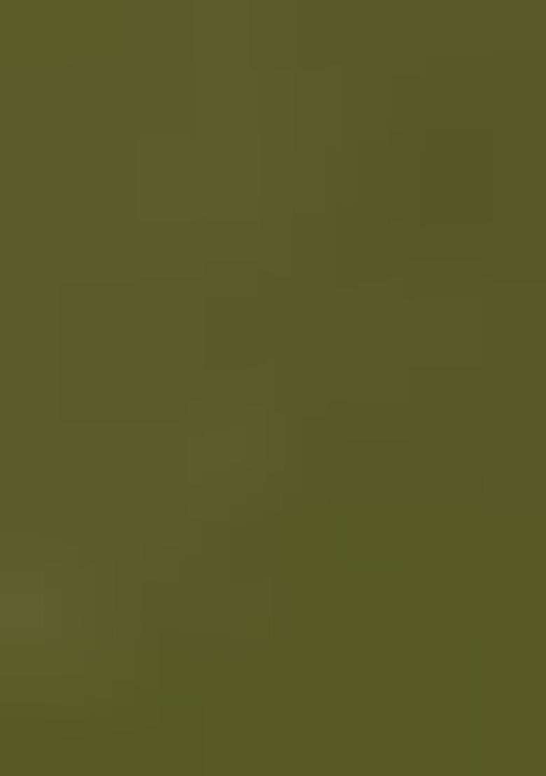 Green Printed Cotton Blended Lehenga Choli Set